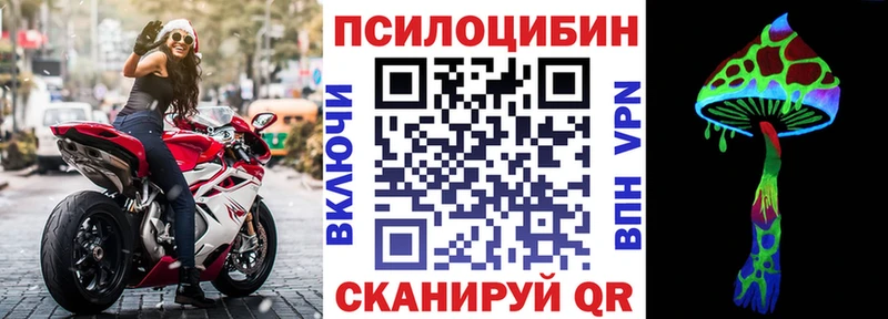 Галлюциногенные грибы Psilocybe  Карталы 